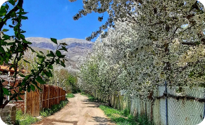 روستای واریان