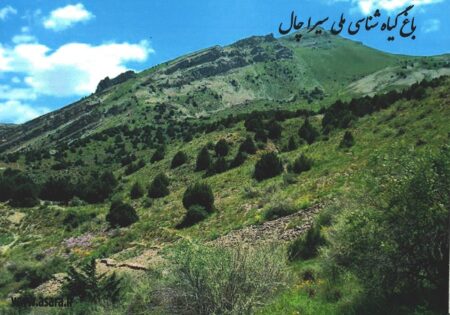 باغ ملی سیرا چال